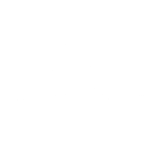 TopShop